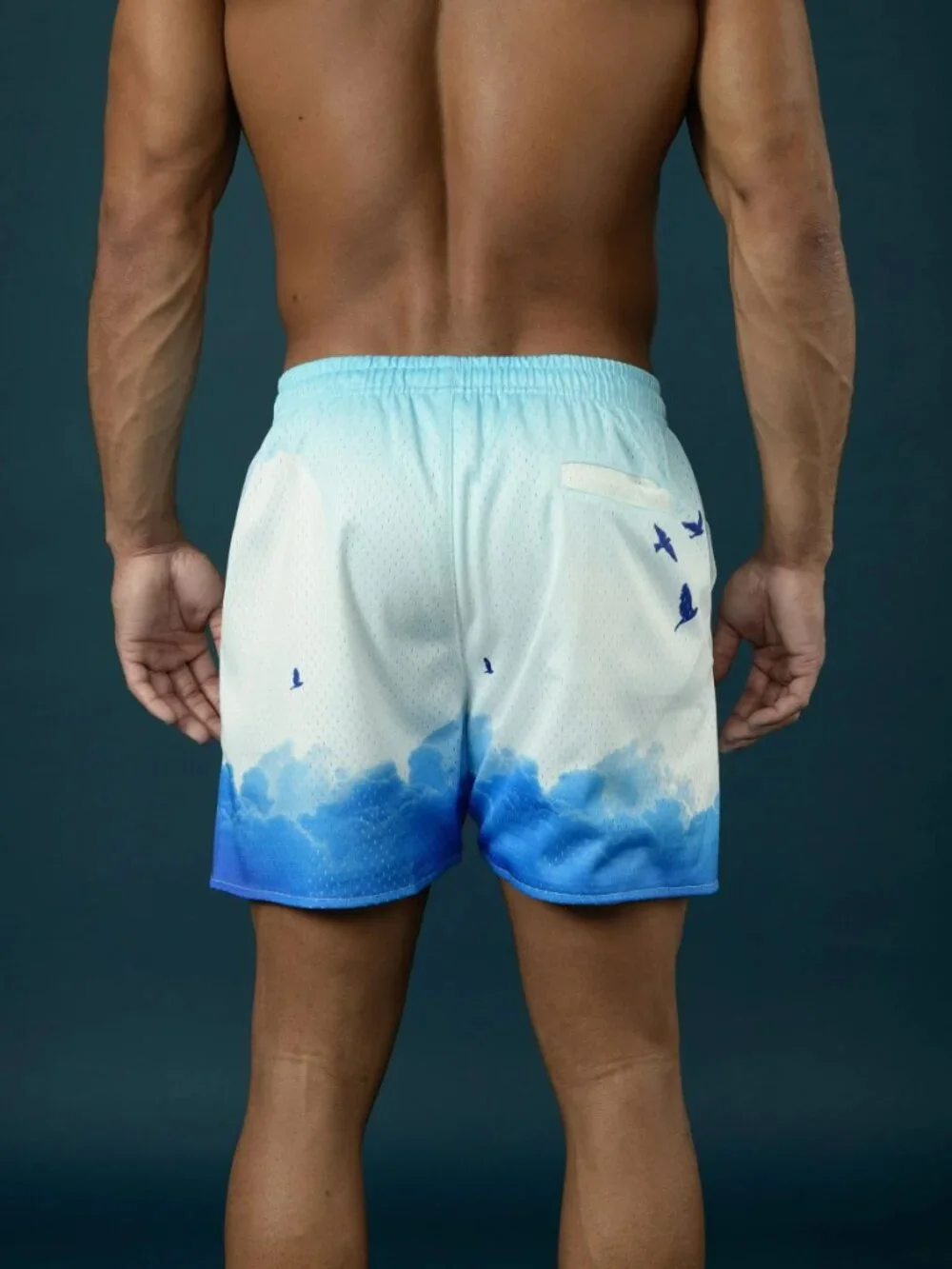 YoungLA 141 The Block Party Shorts Medium Above the Clouds